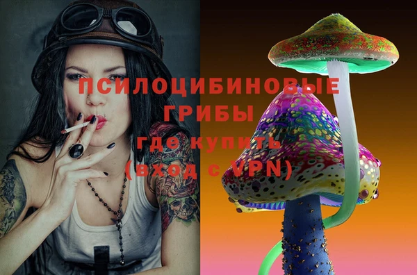 PSILOCYBIN Белокуриха